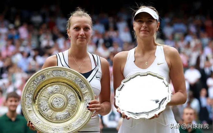  科维托娃最新消息 